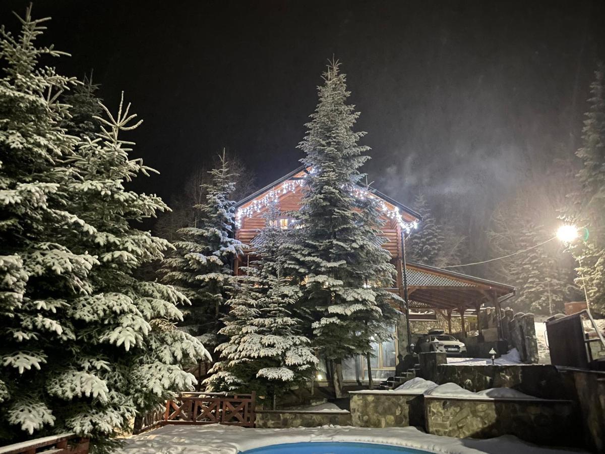 Vip Houses Карпати Мигово エクステリア 写真