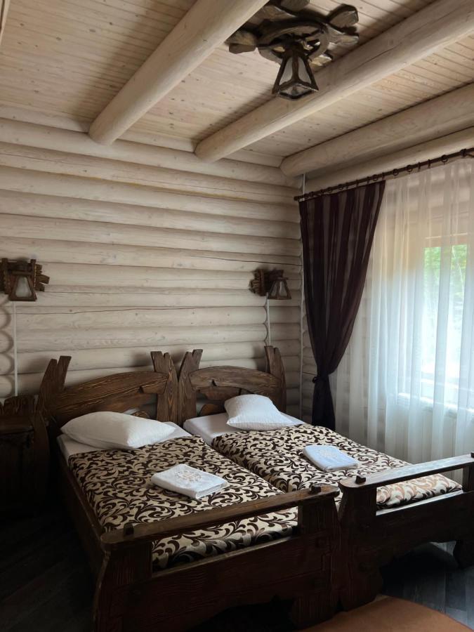 Vip Houses Карпати Мигово エクステリア 写真