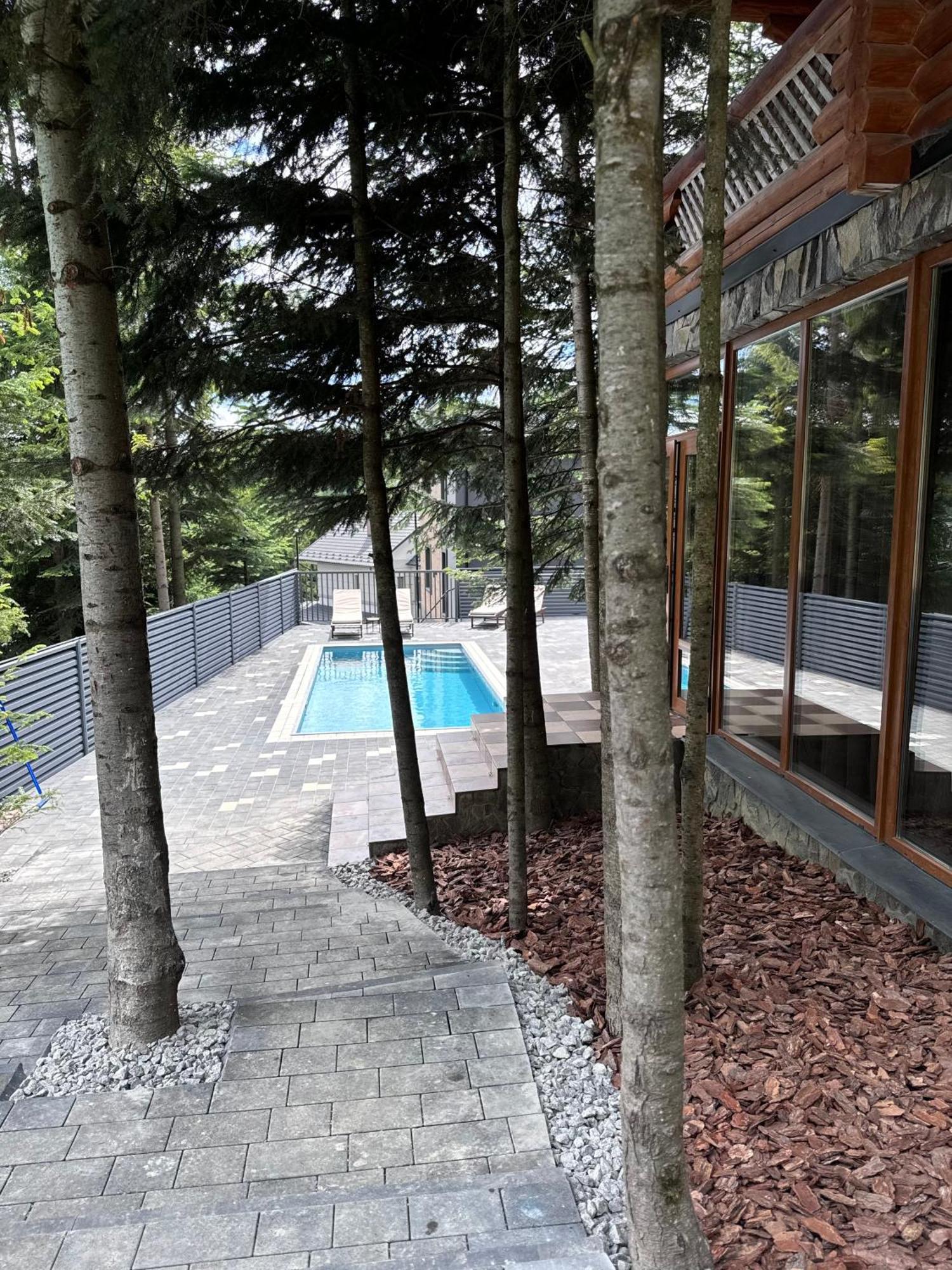 Vip Houses Карпати Мигово エクステリア 写真