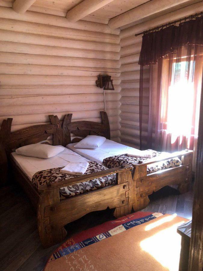 Vip Houses Карпати Мигово エクステリア 写真